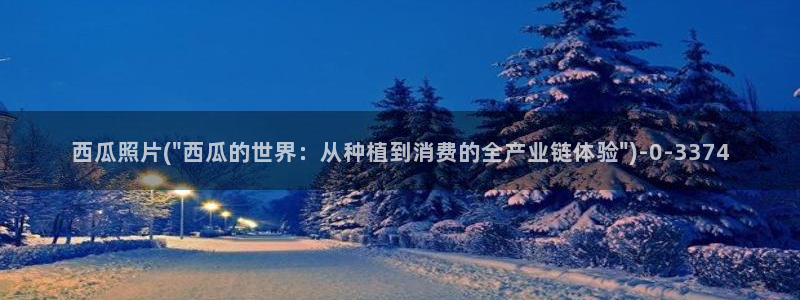 暴风眼西瓜影院免费观看