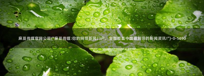麻豆视频下载页面：麻豆传媒官网公司(\