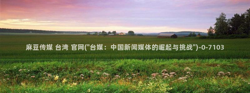 麻豆视频 高清：麻豆传媒 台湾 官网(\