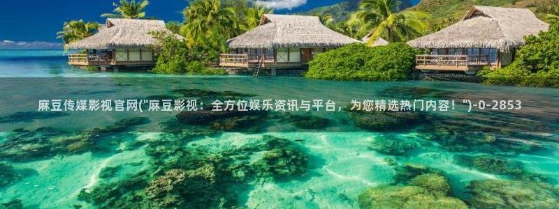 麻豆视频在线观看：麻豆传媒影视官网(\