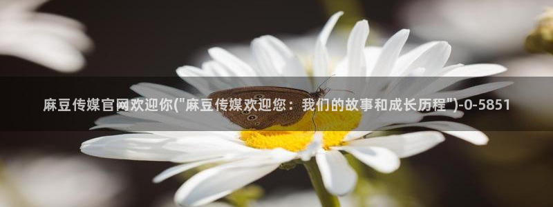 麻豆在线看高清：麻豆传媒官网欢迎你(\