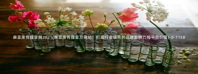 麻豆 在线看：麻豆床传媒官网2021(麻豆床传媒