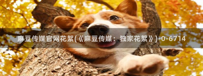 麻豆视频 资源在线看：麻豆传媒官网花絮(《麻豆传媒：