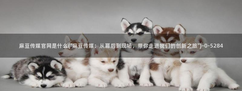 麻豆视频热门完整版：麻豆传媒官网是什么(\
