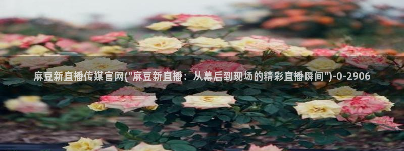 麻豆视频 高清入口：麻豆新直播传媒官网(\