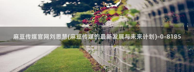 麻豆视频 入口整理：麻豆传媒官网刘思慧(麻豆传媒的最