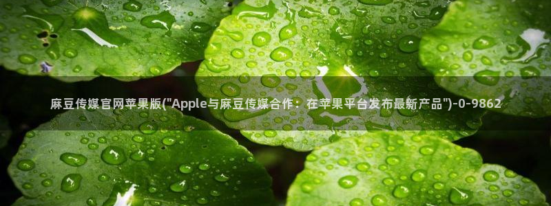 麻豆视频 推荐专区：麻豆传媒官网苹果版(\