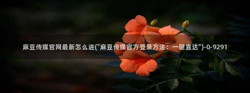 麻豆下载导航：麻豆传媒官网最新怎么进(\