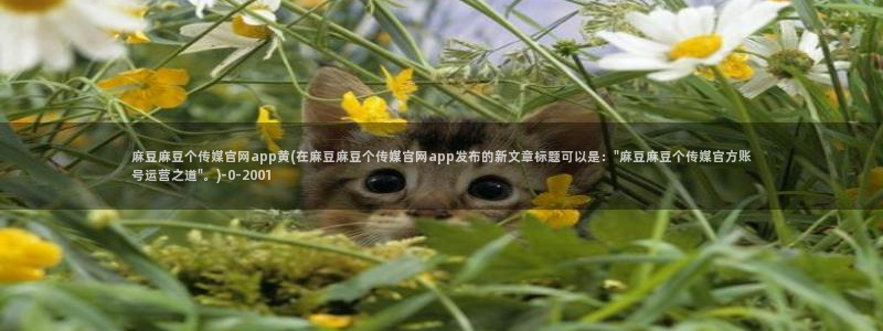 麻豆 完整版更新：麻豆麻豆个传媒官网app黄(在麻豆麻豆
