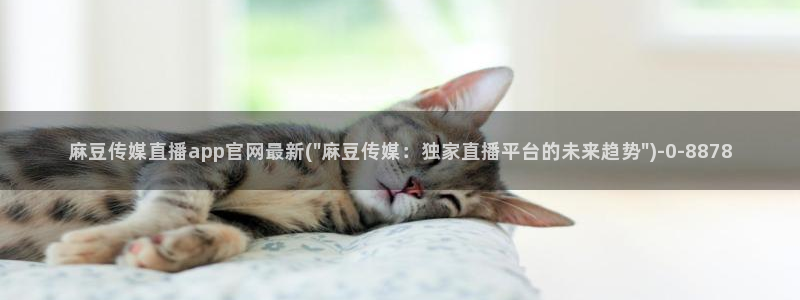 麻豆视频精选专区：麻豆传媒直播app官网最新(\
