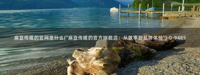 麻豆视频 图集专区：麻豆传媒的官网是什么(\