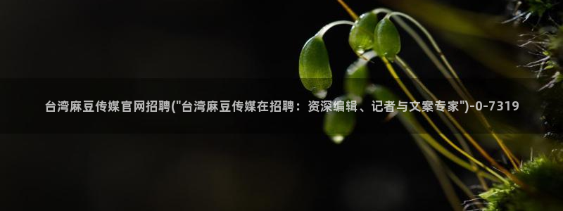 麻豆精选整理：台湾麻豆传媒官网招聘(\