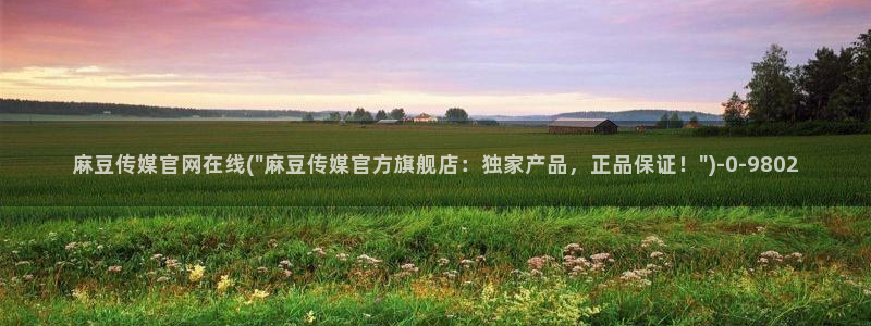 麻豆视频 最新下载：麻豆传媒官网在线(\
