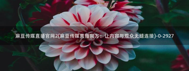 麻豆视频 下载高清：麻豆传媒直播官网2(麻豆传媒直播官方