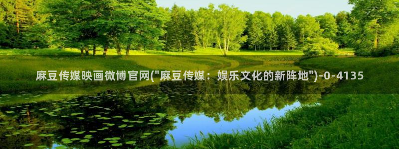 麻豆视频 系列导航：麻豆传媒映画微博官网(\