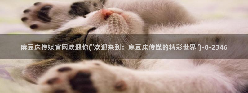 麻豆视频 精选专区：麻豆床传媒官网欢迎你(\