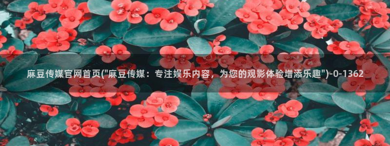 麻豆视频 最新导航：麻豆传媒官网首页(\